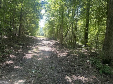 Welcome to 49+ acres on Jordan Road in eastern Harris County - photo 23