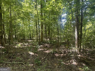 Welcome to 49+ acres on Jordan Road in eastern Harris County - photo 24