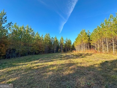 Welcome to 49+ acres on Jordan Road in eastern Harris County - photo 25
