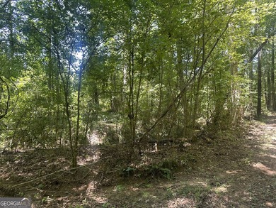 Welcome to 49+ acres on Jordan Road in eastern Harris County - photo 27