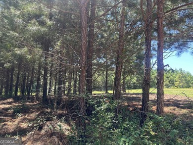 Welcome to 49+ acres on Jordan Road in eastern Harris County - photo 28