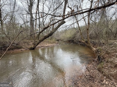 Welcome to 49+ acres on Jordan Road in eastern Harris County - photo 29