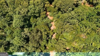 Welcome to 49+ acres on Jordan Road in eastern Harris County - photo 32