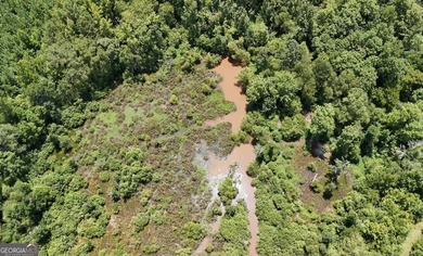 Welcome to 49+ acres on Jordan Road in eastern Harris County - photo 33