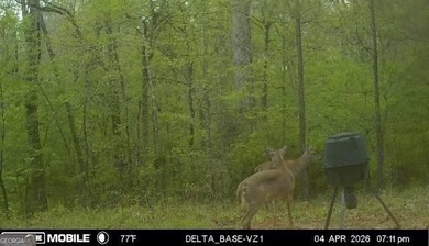 Welcome to 49+ acres on Jordan Road in eastern Harris County - photo 34