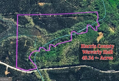 Welcome to 49+ acres on Jordan Road in eastern Harris County - photo 35