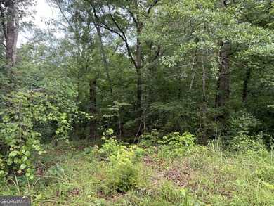 Welcome to 49+ acres on Jordan Road in eastern Harris County - photo 36