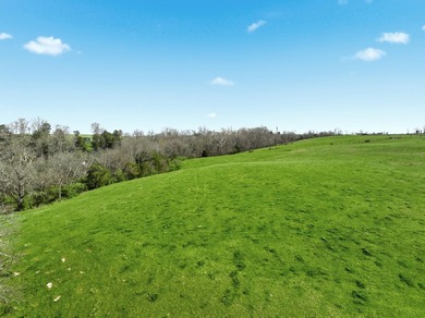 Dreaming of wide open space, privacy, and a property that truly - photo 44