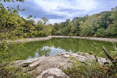Dreaming of wide open space, privacy, and a property that truly - photo 49