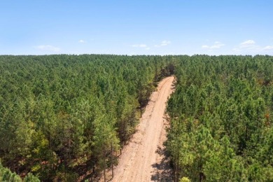 Lake Lot For Sale in Broken Bow, Oklahoma