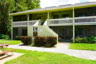 Lake Condo For Sale in Lutz, Florida