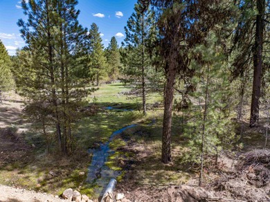 Lake Acreage For Sale in Placerville, Idaho