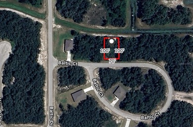 Lake Marion - Polk County Lot For Sale in Kissimmee Florida