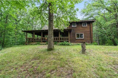 Lake Home For Sale in Wolford Twp, Minnesota