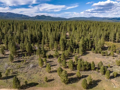 Lake Acreage For Sale in Placerville, Idaho