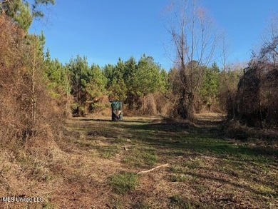 95+/- Acres on Raymond Road - Creek, Ponds, Airstrip, Homesite - photo 11