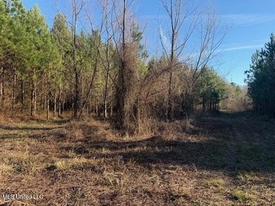 95+/- Acres on Raymond Road - Creek, Ponds, Airstrip, Homesite - photo 12