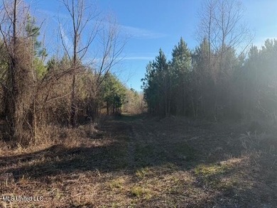 95+/- Acres on Raymond Road - Creek, Ponds, Airstrip, Homesite - photo 13