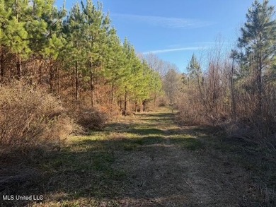 95+/- Acres on Raymond Road - Creek, Ponds, Airstrip, Homesite - photo 14