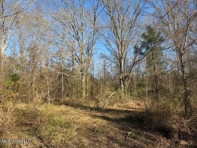 95+/- Acres on Raymond Road - Creek, Ponds, Airstrip, Homesite - photo 15