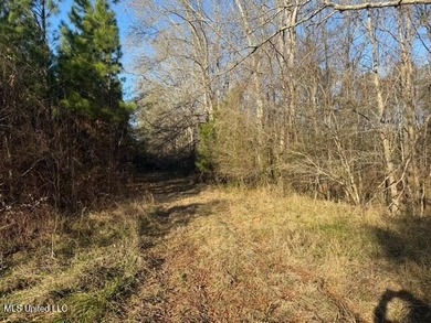 95+/- Acres on Raymond Road - Creek, Ponds, Airstrip, Homesite - photo 16