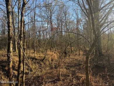 95+/- Acres on Raymond Road - Creek, Ponds, Airstrip, Homesite - photo 17