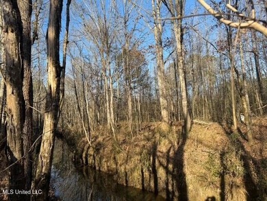 95+/- Acres on Raymond Road - Creek, Ponds, Airstrip, Homesite - photo 18