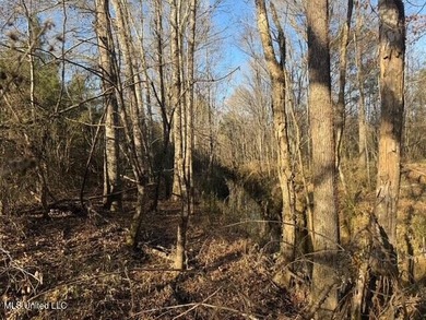 95+/- Acres on Raymond Road - Creek, Ponds, Airstrip, Homesite - photo 20