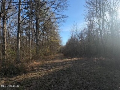 95+/- Acres on Raymond Road - Creek, Ponds, Airstrip, Homesite - photo 22