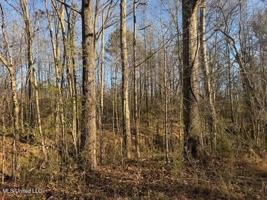 95+/- Acres on Raymond Road - Creek, Ponds, Airstrip, Homesite - photo 24