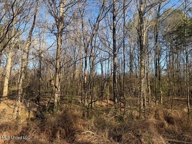 95+/- Acres on Raymond Road - Creek, Ponds, Airstrip, Homesite - photo 25