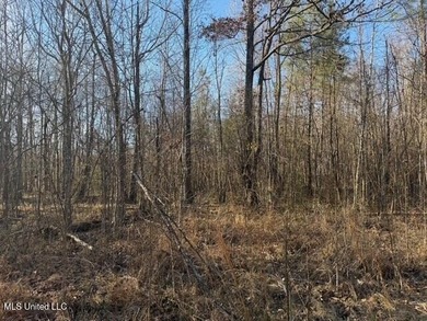95+/- Acres on Raymond Road - Creek, Ponds, Airstrip, Homesite - photo 26