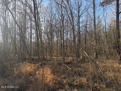 95+/- Acres on Raymond Road - Creek, Ponds, Airstrip, Homesite - photo 27