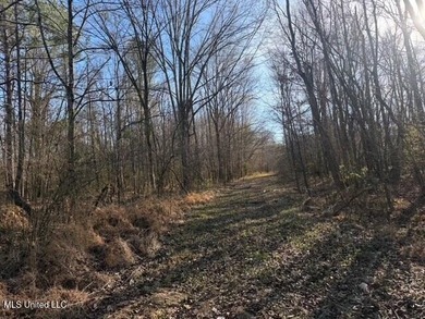 95+/- Acres on Raymond Road - Creek, Ponds, Airstrip, Homesite - photo 29