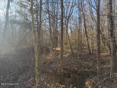 95+/- Acres on Raymond Road - Creek, Ponds, Airstrip, Homesite - photo 30