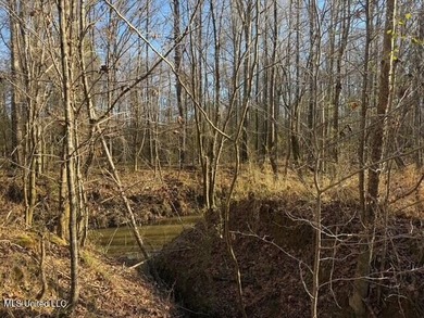 95+/- Acres on Raymond Road - Creek, Ponds, Airstrip, Homesite - photo 32