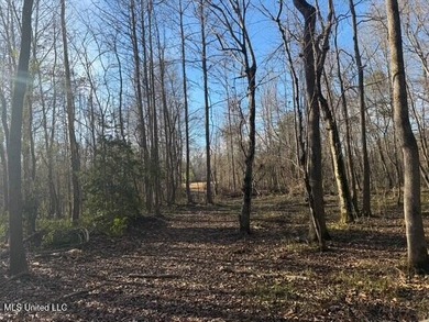 95+/- Acres on Raymond Road - Creek, Ponds, Airstrip, Homesite - photo 33