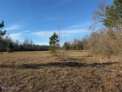 95+/- Acres on Raymond Road - Creek, Ponds, Airstrip, Homesite - photo 34