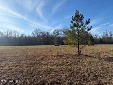 95+/- Acres on Raymond Road - Creek, Ponds, Airstrip, Homesite - photo 36