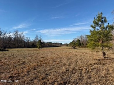 95+/- Acres on Raymond Road - Creek, Ponds, Airstrip, Homesite - photo 38