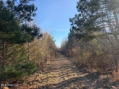 95+/- Acres on Raymond Road - Creek, Ponds, Airstrip, Homesite - photo 41