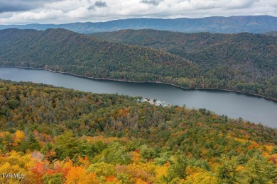 Watauga Lake Acreage For Sale in Butler Tennessee