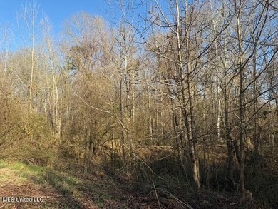 95+/- Acres on Raymond Road - Creek, Ponds, Airstrip, Homesite - photo 42