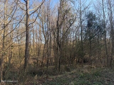 95+/- Acres on Raymond Road - Creek, Ponds, Airstrip, Homesite - photo 43