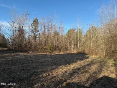 95+/- Acres on Raymond Road - Creek, Ponds, Airstrip, Homesite - photo 44