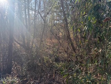 95+/- Acres on Raymond Road - Creek, Ponds, Airstrip, Homesite - photo 46