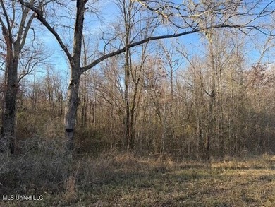 95+/- Acres on Raymond Road - Creek, Ponds, Airstrip, Homesite - photo 47