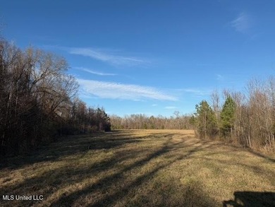 95+/- Acres on Raymond Road - Creek, Ponds, Airstrip, Homesite - photo 48