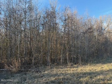 95+/- Acres on Raymond Road - Creek, Ponds, Airstrip, Homesite - photo 49