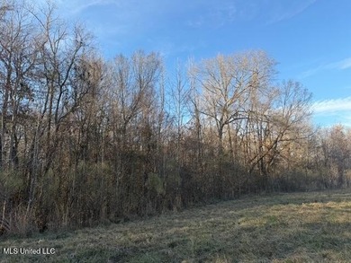 95+/- Acres on Raymond Road - Creek, Ponds, Airstrip, Homesite - photo 50